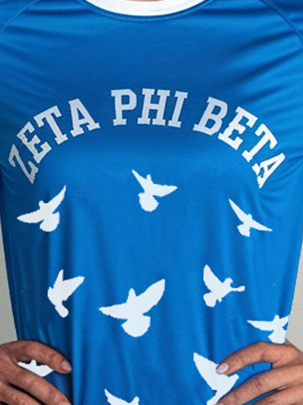 Zeta Phi Beta Dove Flight Performance Long Sleeve Shirt - Image 2