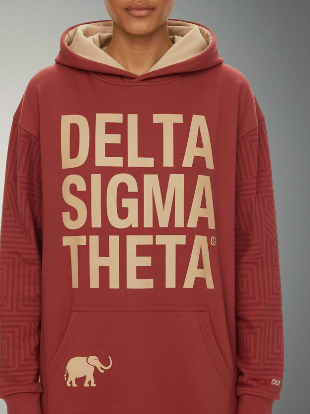 Delta Sigma Theta Fortitude Rising Hoodie - Image 2