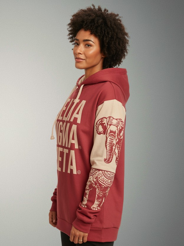 Delta Sigma Theta Sisters of Strength Hoodie - Image 2